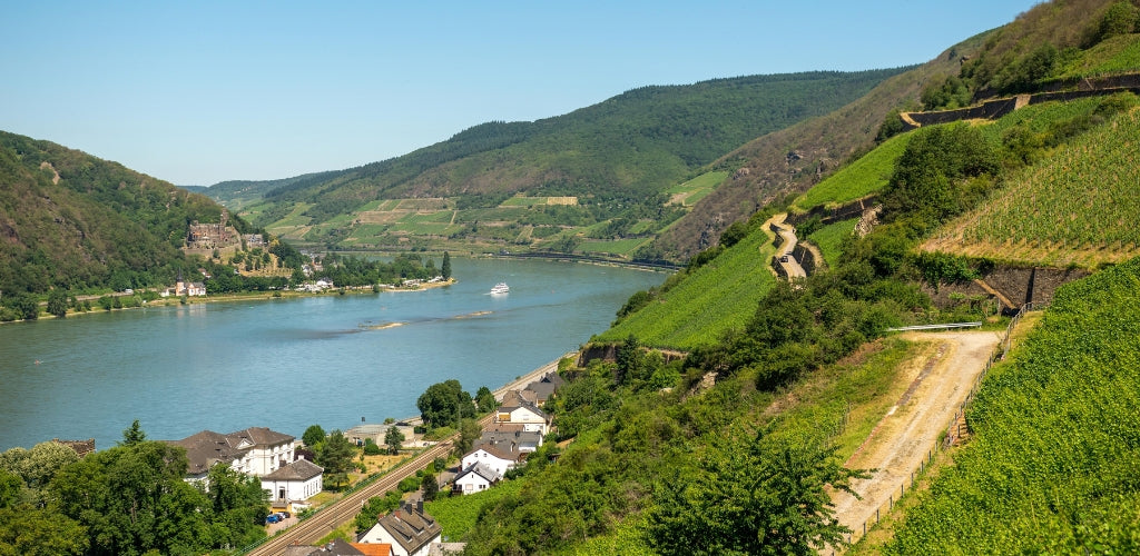 Neu bei Mein-Weinhandel: August Kesseler aus dem Rheingau