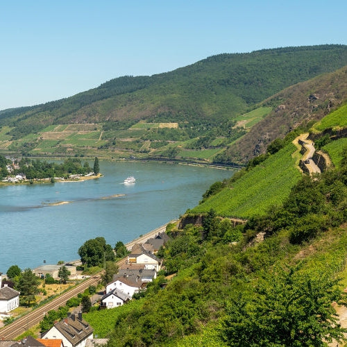 Neu bei Mein-Weinhandel: August Kesseler aus dem Rheingau