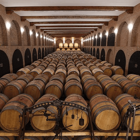 Dante Rivetti: Landschaft und Familie - das sind die Wurzeln für Pflanzen und Menschen.