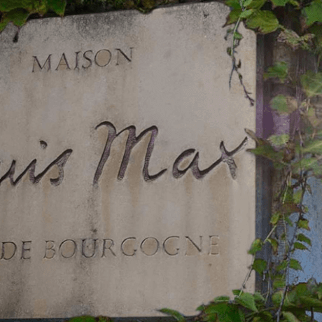 Vorgestellt: Maison Louis Max - jetzt bei uns erhältlich!