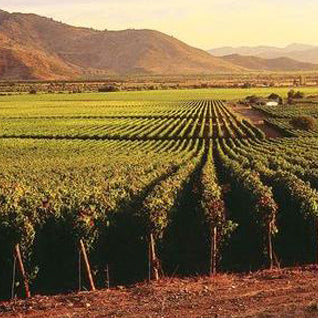 Montes Alpha – Chile genießen