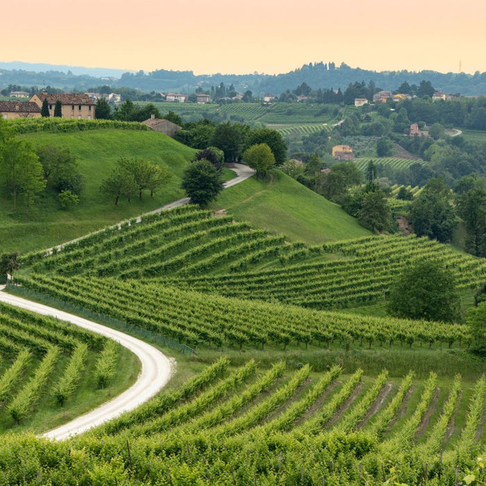Die Weinregion Venetien - Italien von seiner schönsten Seite