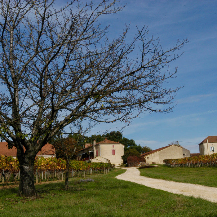 Château de Hauterive