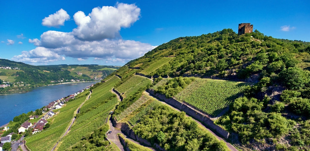 August Kesseler: Riesling und Pinot Noir aus dem Rheingau